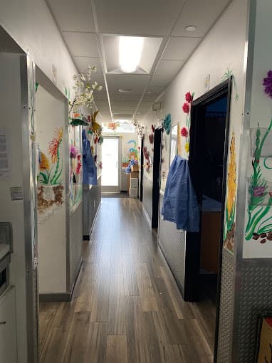 Dental office hall way with colorful forest mural painted on the walls