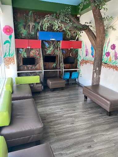 Dental waiting room with bench seating in a colorful design forest mural on two walls